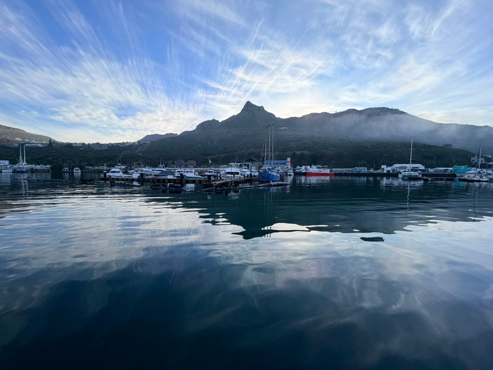 Hey Charlie Charters out on the Atlantic off Cape Town